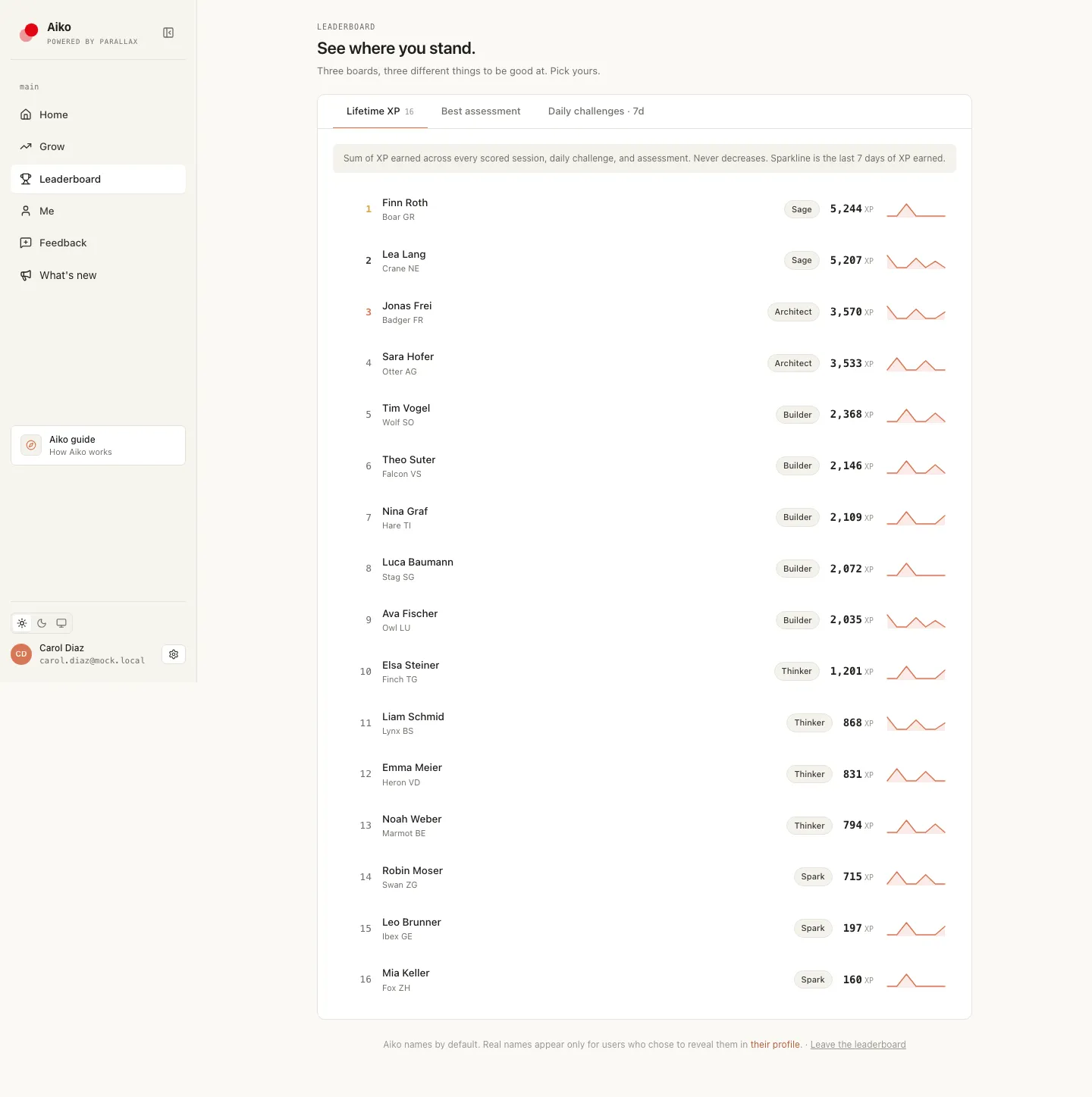 Carol sits near the top of her team's fluency leaderboard, ranked by daily practice